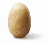 USDA Approves Genetically Engineered Potato | Time