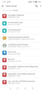 Screenshot_20200424_020807_com.huawei.hidisk.webp