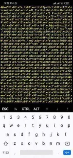 Screenshot_2020-04-24-21-26-26-220_com.termux.webp