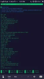 Screenshot_20200429_133136.webp
