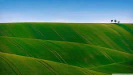 green_rolling_hills-wallpaper-1366x768.webp