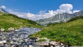 stream_spring-wallpaper-1366x768.webp