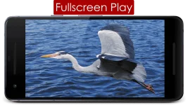 5454545.webp 5454545.webp