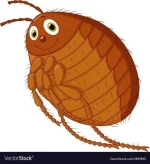 flea-cartoon-vector-1859955.webp