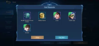 Screenshot_20200502-173205_Mobile Legends Bang Bang.webp