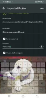 Screenshot_20200506_222658.webp