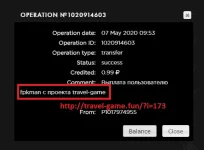 travel payment details.webp