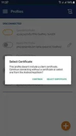 Screenshot_20200509-113706_OpenVPN Connect.webp