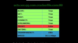 31.webp