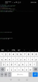 Screenshot_20200510_023430_com.termux.webp