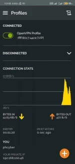 Screenshot_2020-05-11-09-29-00-729_net.openvpn.openvpn.webp