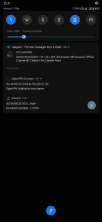 Screenshot_2020-05-11-15-11-51-887_net.openvpn.openvpn.webp