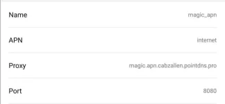 magic apn settings 2.webp