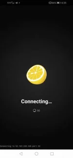 Screenshot_20200511_183520_com.sonelli.juicessh.webp