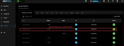 Hunt Payeer History.webp