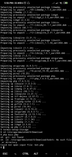 Screenshot_2020-05-13-17-56-34-353_com.termux.webp