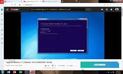 1589381328986.webp