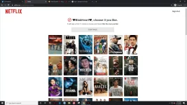 net 3.webp
