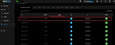 Drift Payeer History.webp