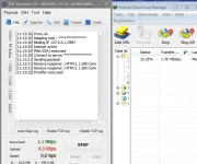 3.webp