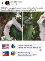 324.jpg