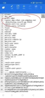 Screenshot_2020-05-20-01-24-26-52.webp