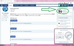 Untitled.webp
