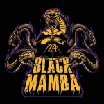 black-mamba-24_151511-19.webp