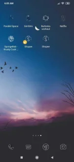 Screenshot_2020-05-22-06-05-03-650_com.miui.home.webp