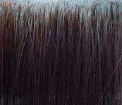 Paintbrush_closeup.jpg