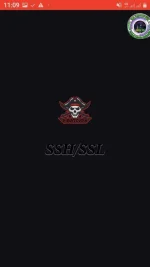 Screenshot_20200525-230917_PIRATE VPN.webp
