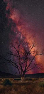 Gorgeous_Space-cd059572-e9e8-3700-ad83-06f2e252084b.webp