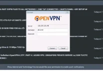 chin.webp