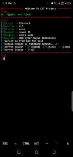 Screenshot_20200603-131300.webp