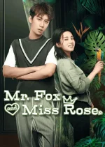 Mr Fox and Miss Rose ost.webp