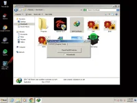IDM 4.webp