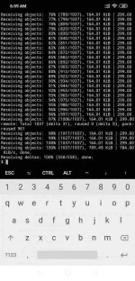 Screenshot_2020-06-05-06-59-56-576_com.termux.webp