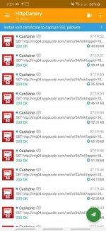 Screenshot_20200605-072130_HttpCanary.webp