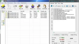 svl5.95.webp