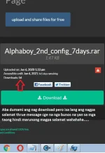 1591445595801.webp
