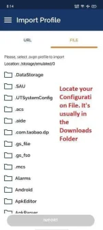 ovpn2.webp
