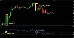 rsi.webp rsi.webp