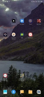 Screenshot_2020-06-09-10-55-45-476_com.miui.home.webp