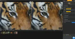 1772465779738.webp