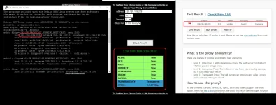 Free Proxy.webp