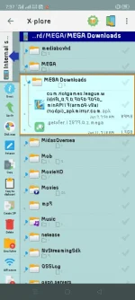 Screenshot_2020-06-11-07-37-54-51_01c085aa929b1599fddd4ea6d6812c2d.webp