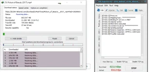 working.webp