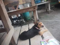 20200612_063037.webp