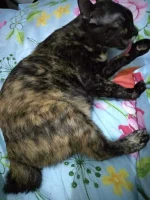 IMG_20200426_165825.webp