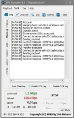 ss3.webp